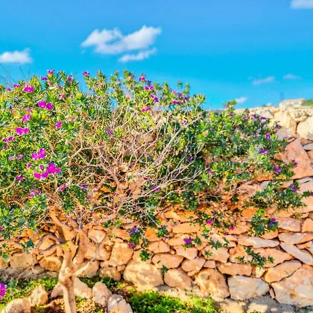 Holiday La Madonnina * Lampedusa